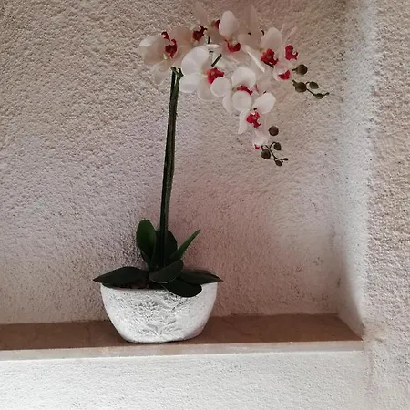 Apartment Oasis Brela