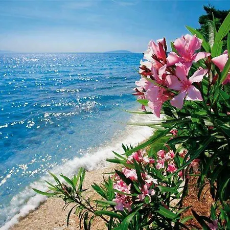 Appartamento Oasis Brela