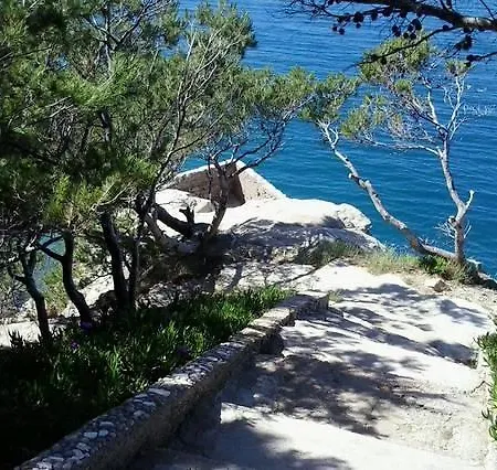 Oasis *